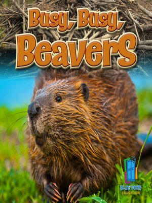cover image of Busy, Busy, Beavers